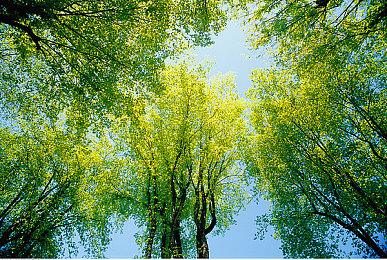 NS版《地球防卫军4.1》预告公开 游戏12月22日发售