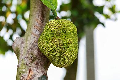 恐怖游戏《小镇惊魂：复刻版合集》公布 预计2025年1月15日发售 